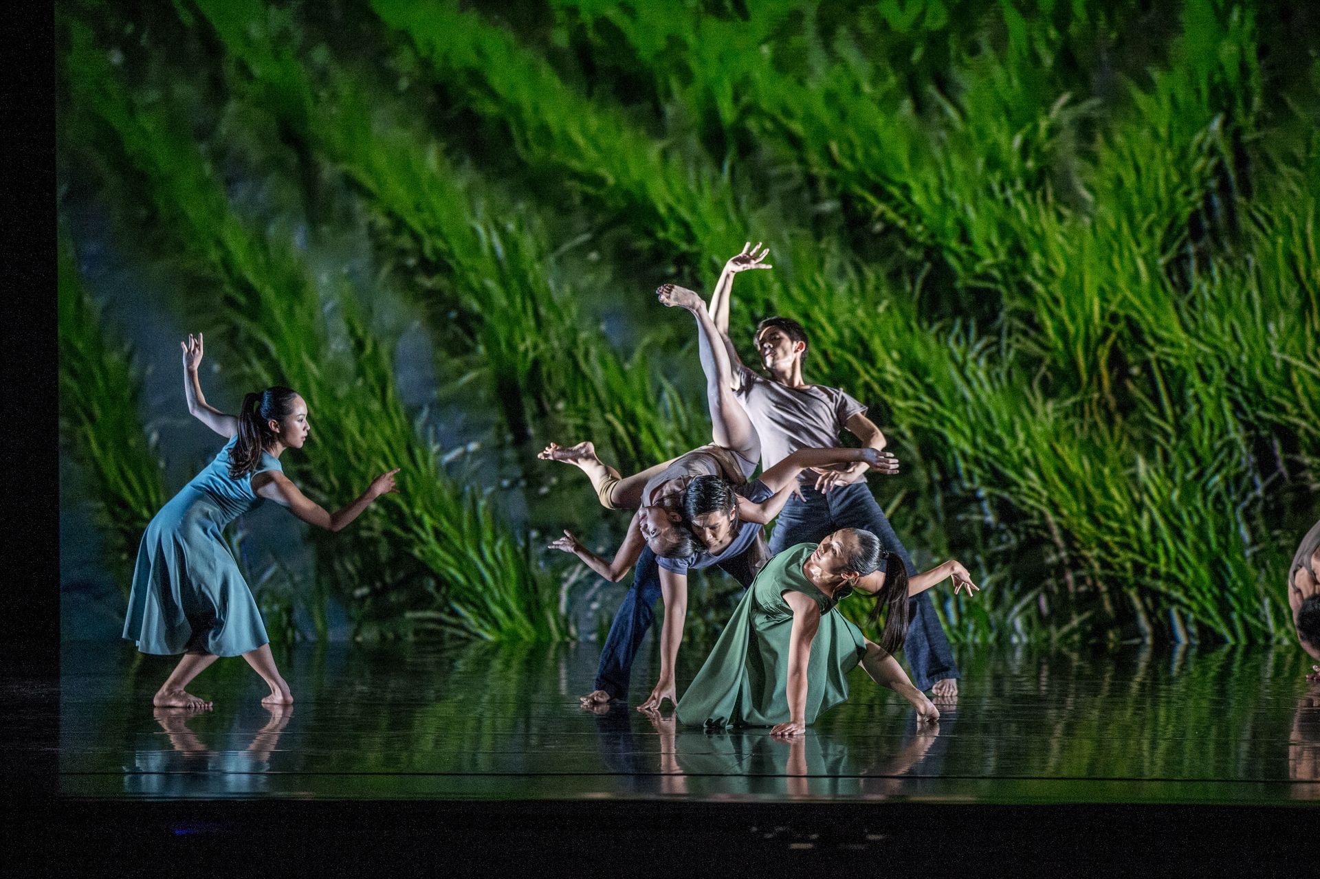 雲門舞集《稻禾》