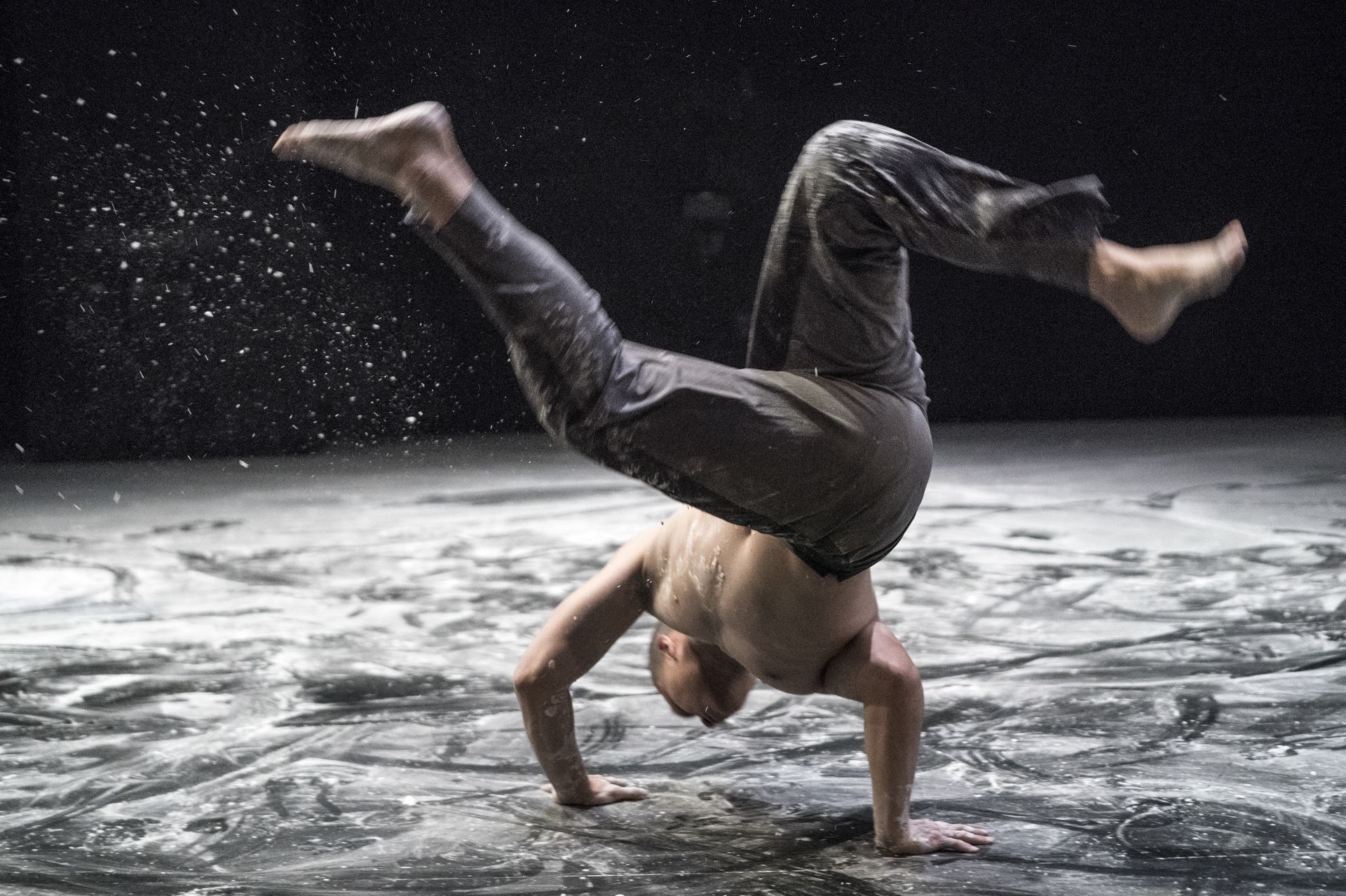 2019新點子實驗場─林怡芳《微塵共感》