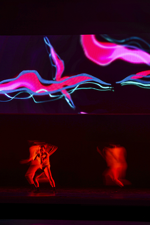activityImage