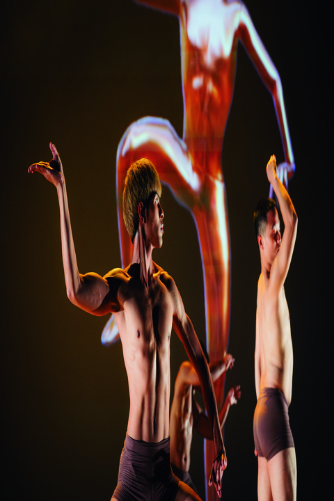 activityImage