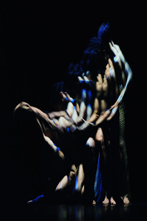 activityImage