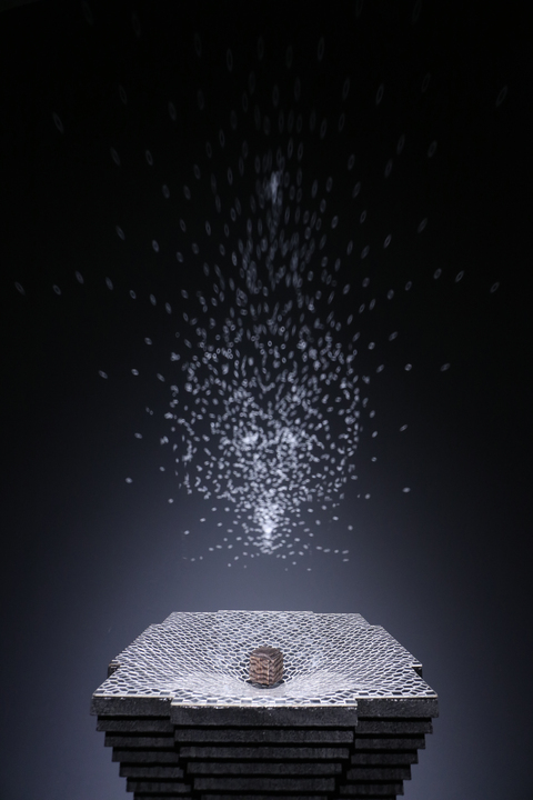 activityImage