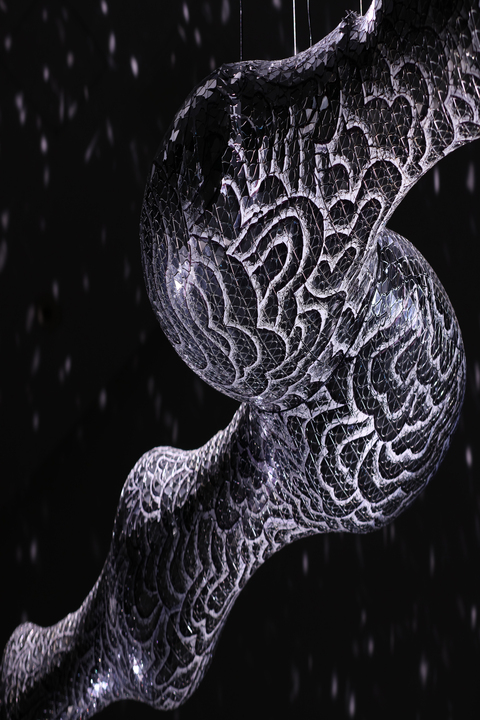 activityImage