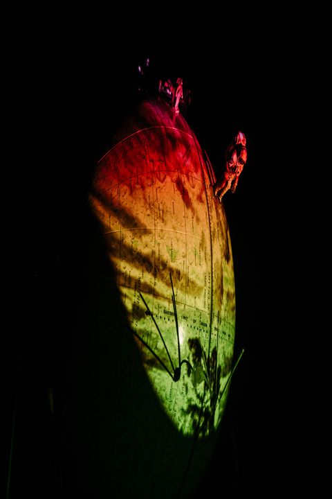 activityImage