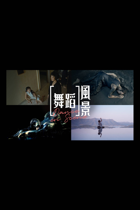 《我在，不在？》